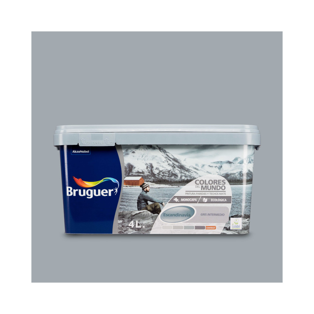 COLORES DEL MUNDO ESCANDINAVIA GRIS INTERM. 4 L