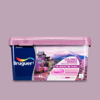 COLORES DEL MUNDO 843 JAPON VIOLETA INTERM. 4 L (baja)