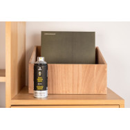 MTN SPRAY PRO BARNIZ PROTECTOR INTERIOR MATE 400 ML