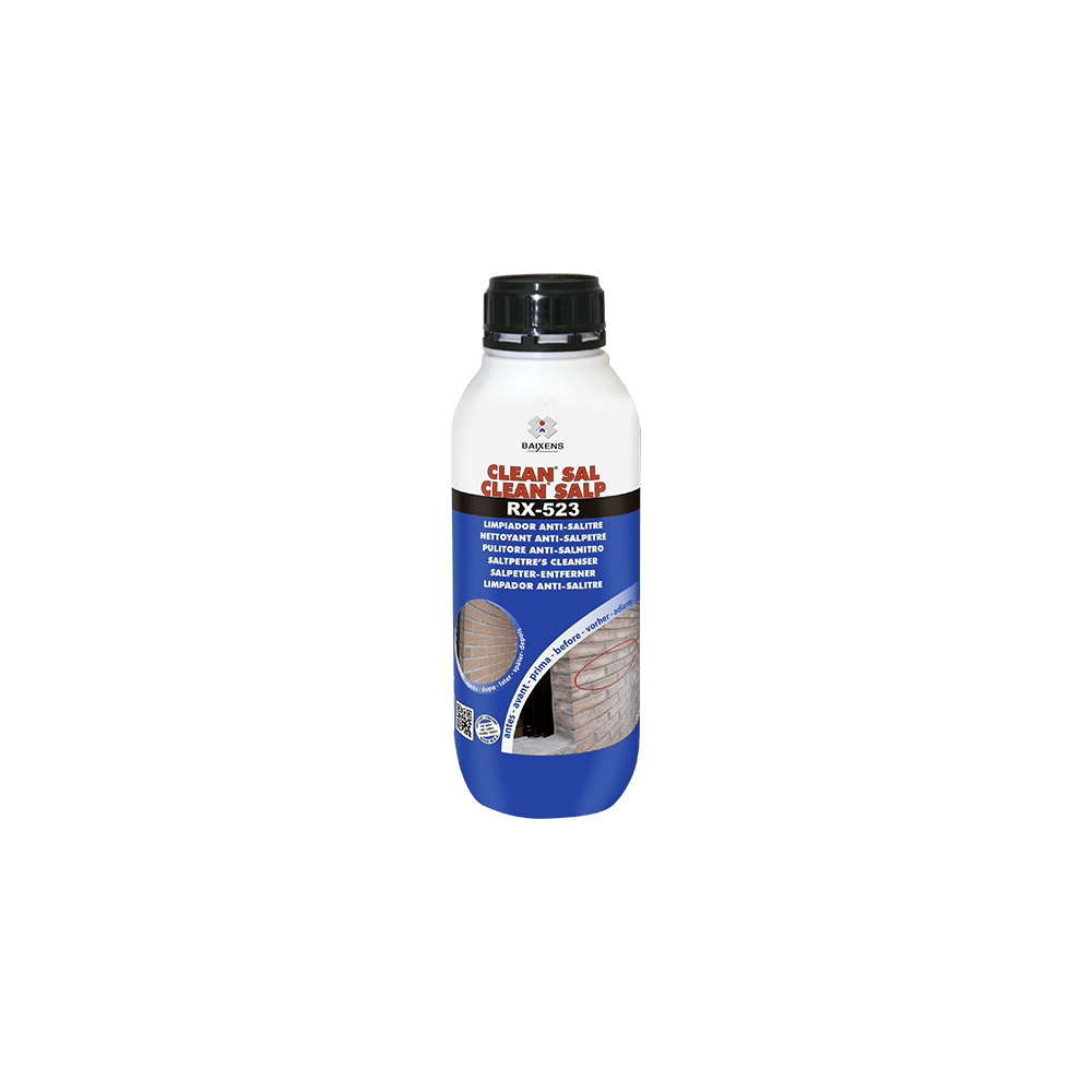 BAIXENS RX-523 CLEAN SAL ANTISALISTRE 1 L