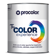 PROCOLOR COLOR MIX EXPERIENCE BN 300 ML