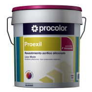 PROEXIL LISO BASE BB 5 L+COLOR